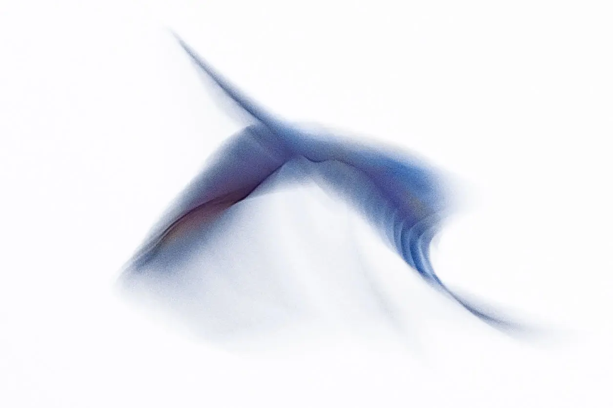 Alain Jouffray : photographe