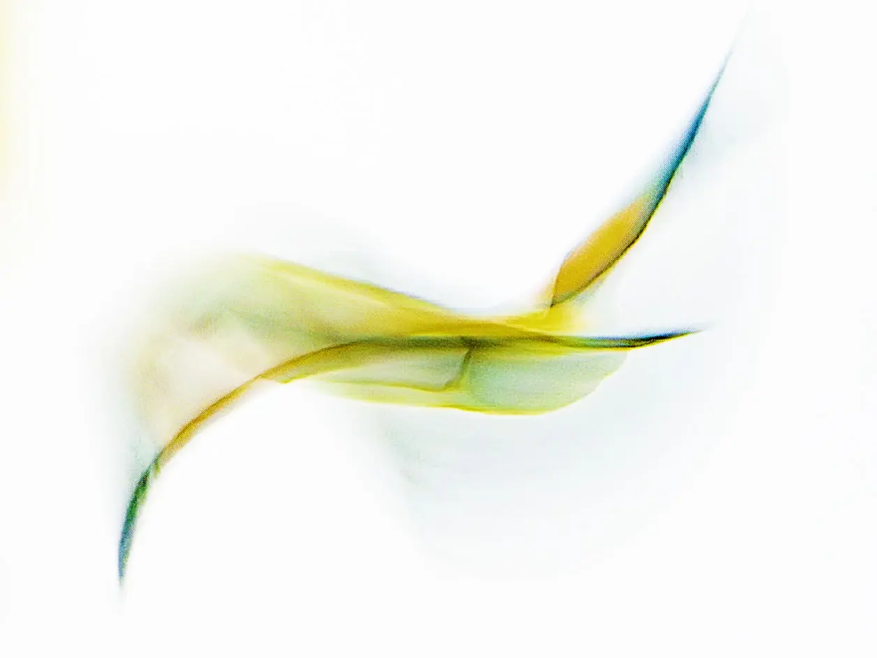 Alain Jouffray : photographe