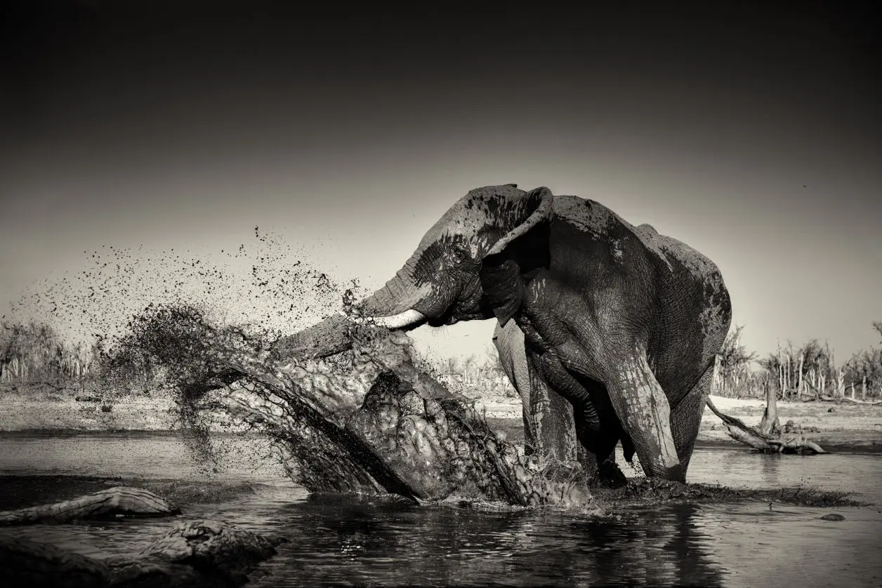 Anne-Marie Etienne : photographe