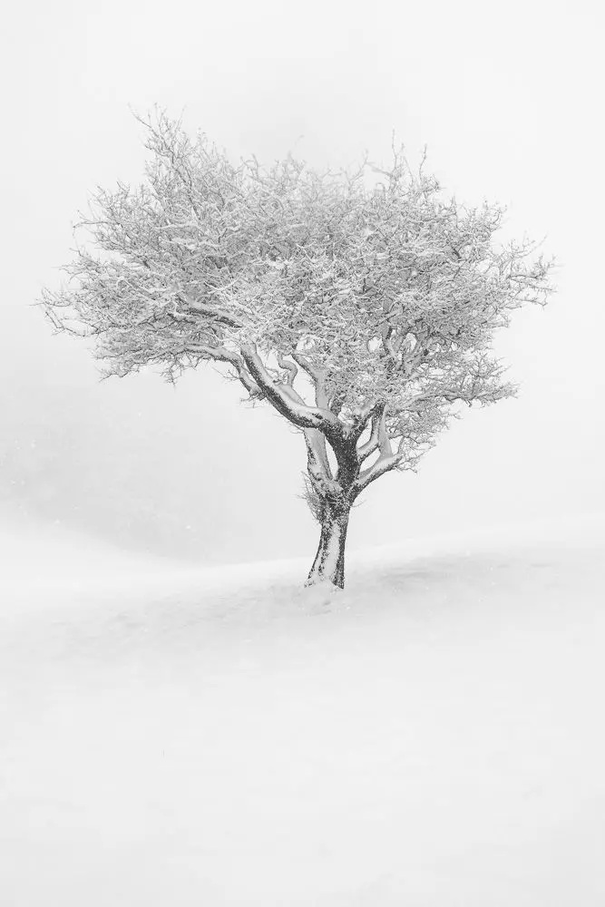Christian Selmo - Photographe