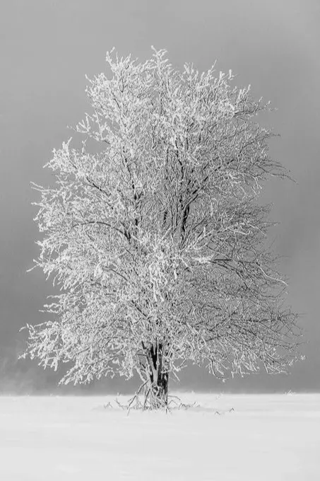 Christian Selmo - Photographe