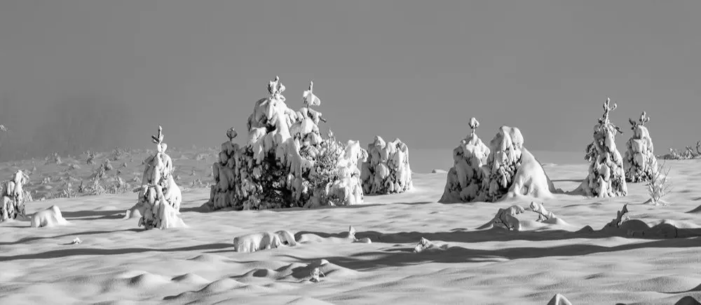 Christian Selmo - Photographe