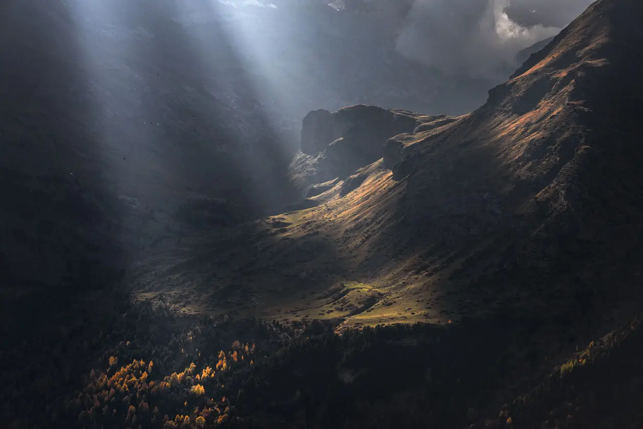 Maxime DAVIRON: photographe