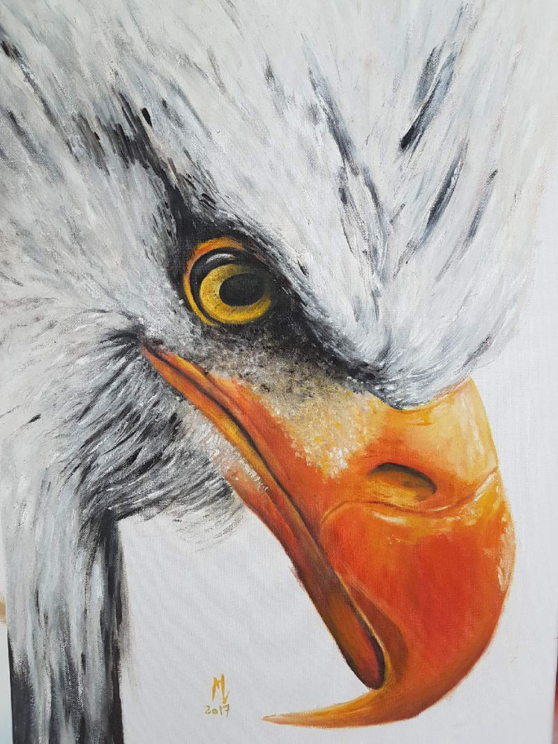 Christian SELMO - Photographe