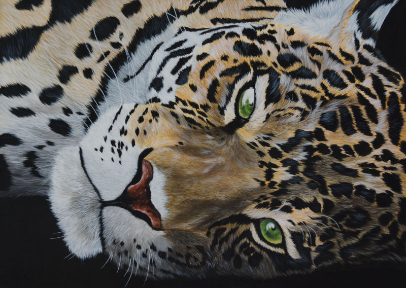 Christian SELMO - Photographe