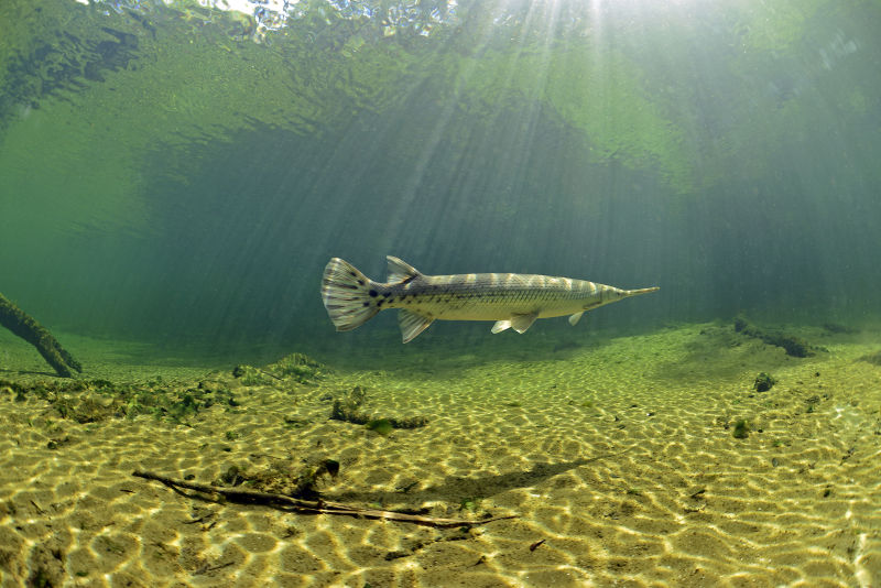 Exposition de Frédéric Melki