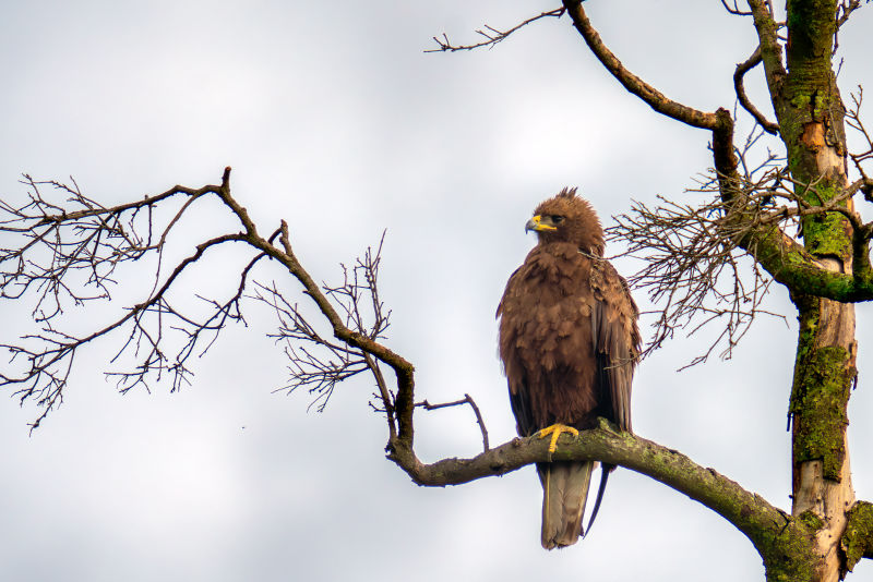 Exposition Éric Galibert